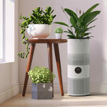 Load image into Gallery viewer, MyGenie Tower Air Purifier with Planter 2-in-1 WI-FI App Control HEPA
